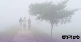 দিনাজপুরে হাড়কাঁপানো শীতে স্তব্ধ জনজীবন